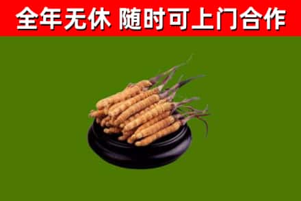 汨罗市烟酒回收冬虫夏草.jpg